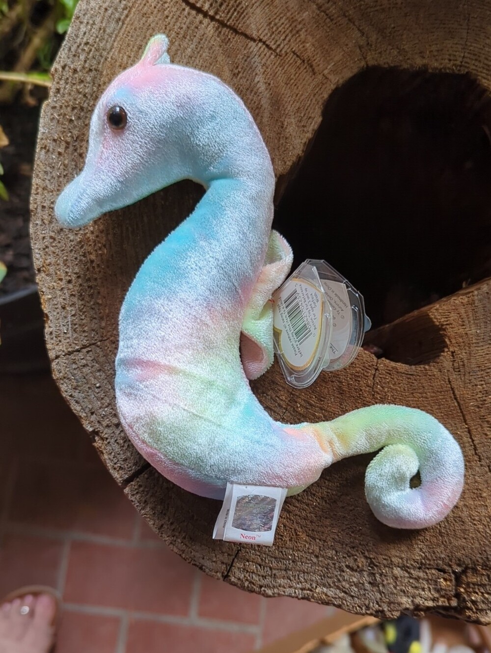 TY Seahorse : Neon, 1999 Plush Pastel Seahorse- Multicolor